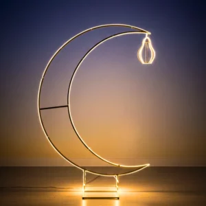 metal frame neon decor light dubai